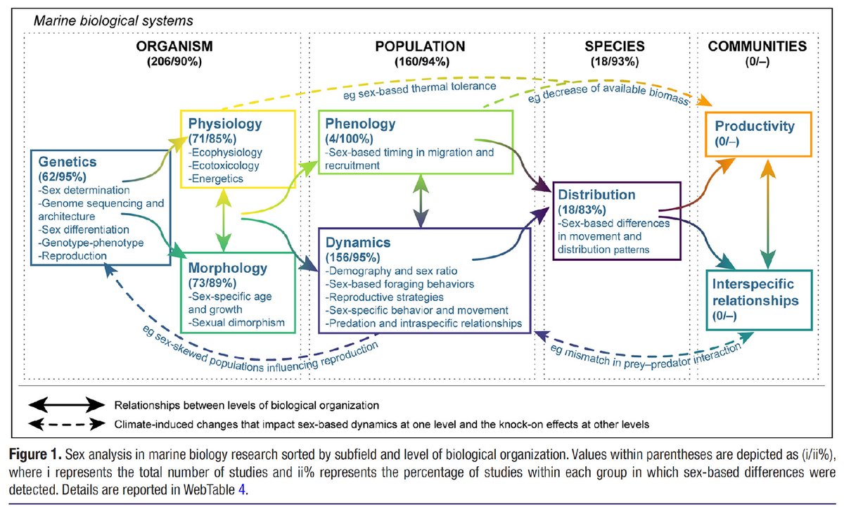 MEDIX_project tweet media