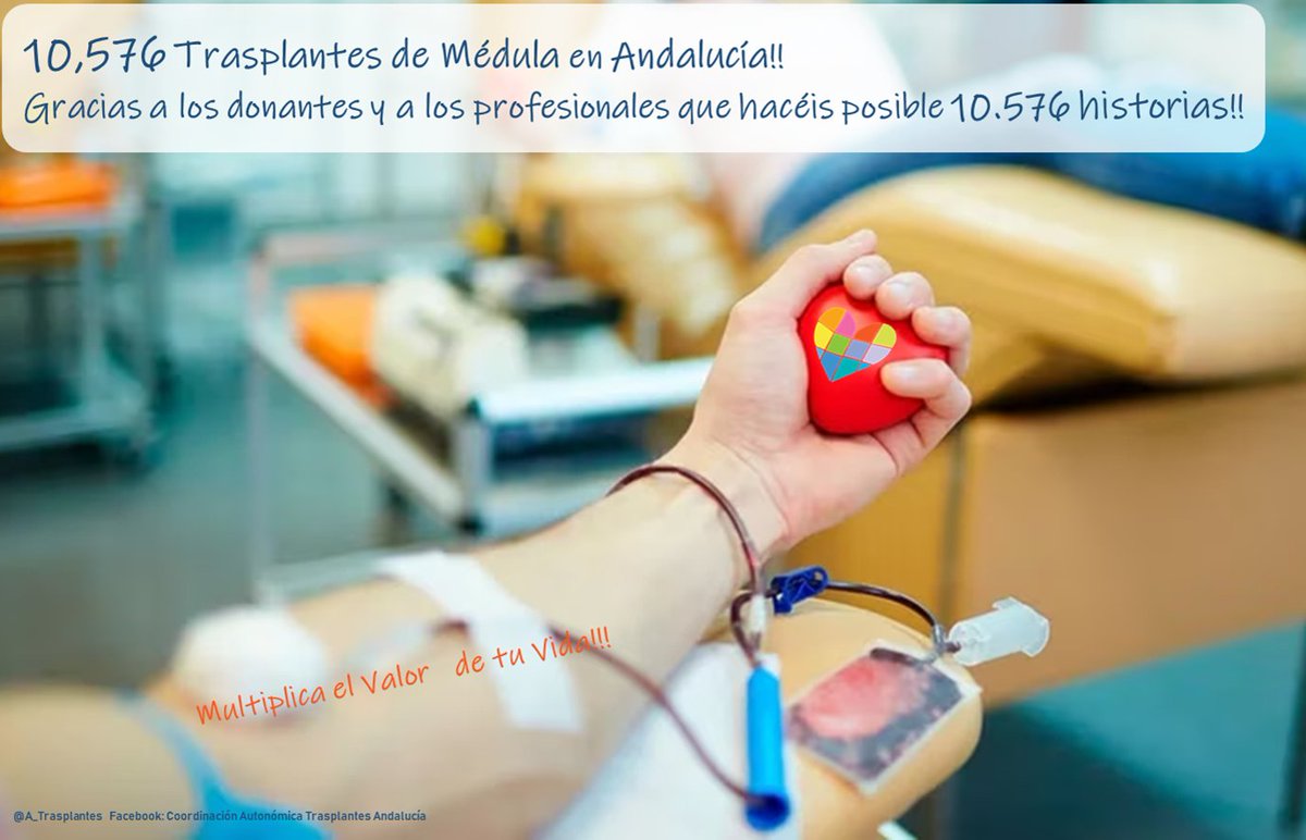 1⃣0⃣5⃣7⃣6⃣ Trasplantes de Médula en Andalucía 🩸
Gracias a los donantes y a los que lo hacéis posible 🫶

<a href="/saludand/">Consejería de Salud y Consumo</a> <a href="/ONT_esp/">Organización Nacional de Trasplantes</a> <a href="/sehh_es/">@sehh_es</a> <a href="/HeroesMedula/">Héroes hasta la Médula</a>