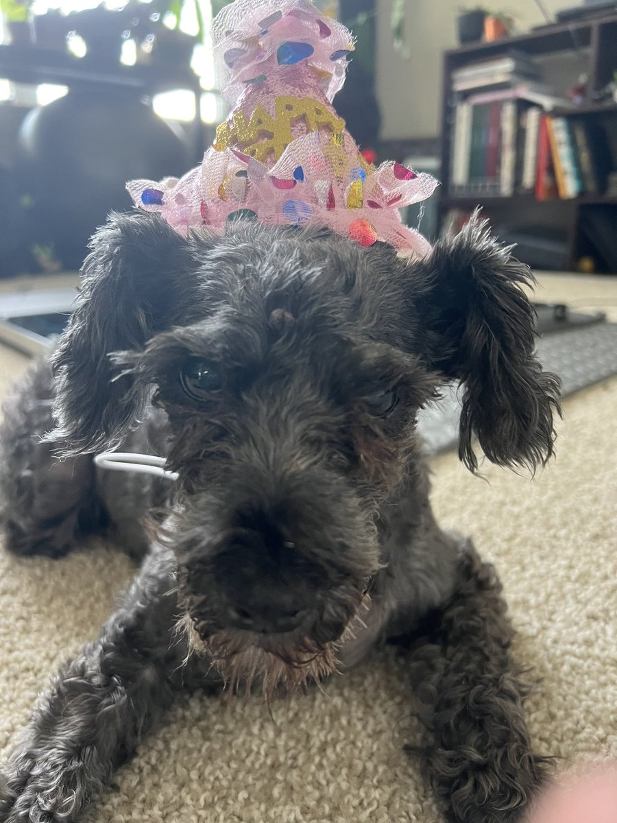 twizzlerific's tweet photo. Happy 15th Birthday to this lovely lady! https://t.co/MnWRgiUHjZ