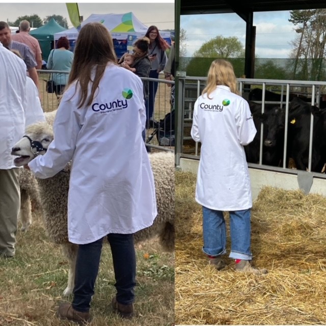 We  think it is essential to support the next generation of farmers. One  way we have done this is by providing white coats for a local young  sheep handler and Bicester &amp; Islip Young Farmers Club for their  stockjudging and food classes at the recent YFC Show #farminguk
