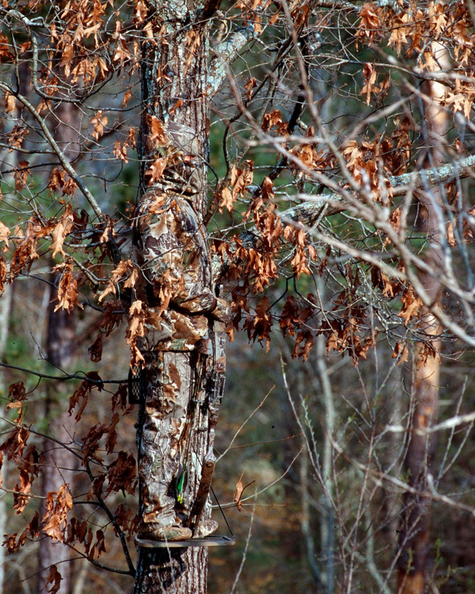 Can anyone name this pattern?

#Realtree