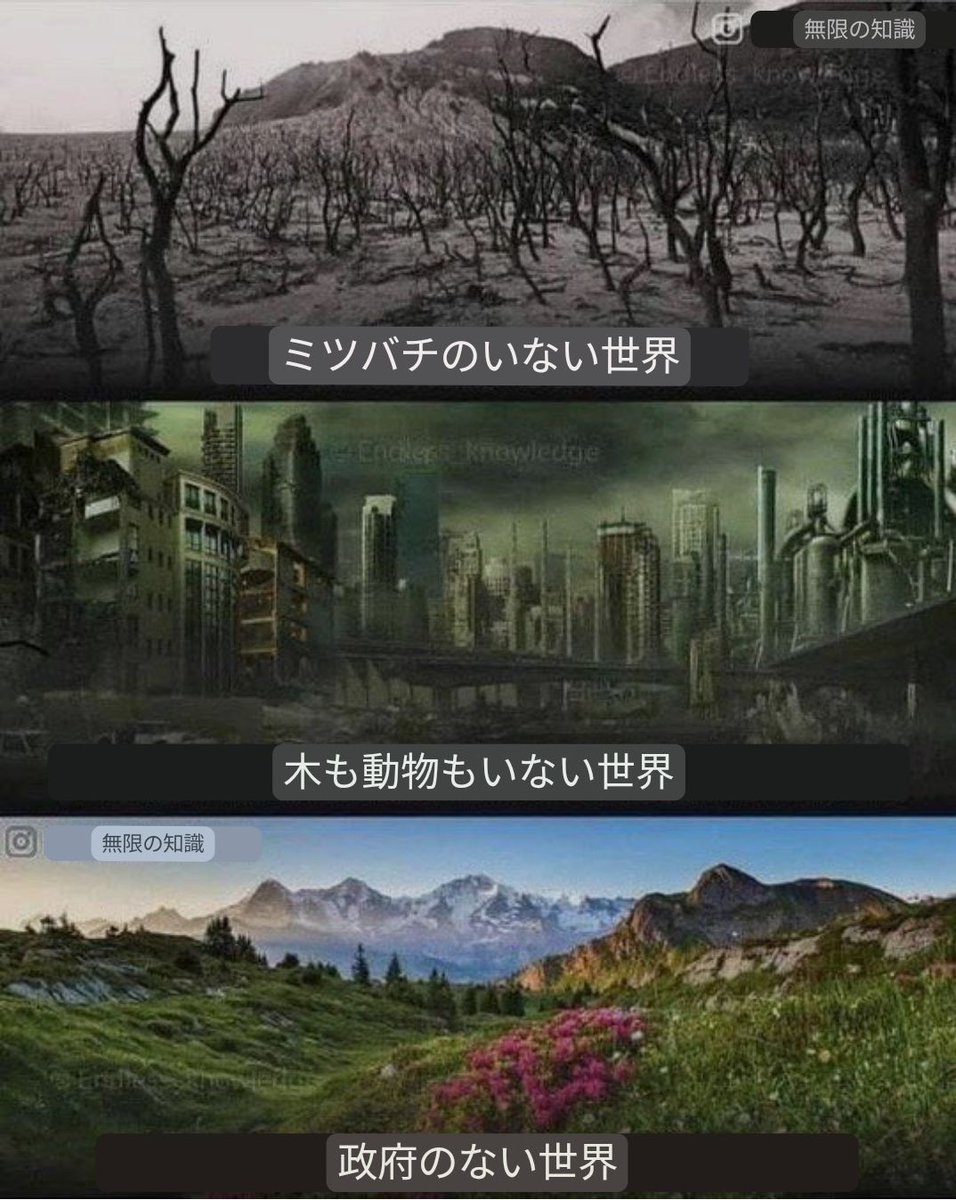 's tweet image. 
