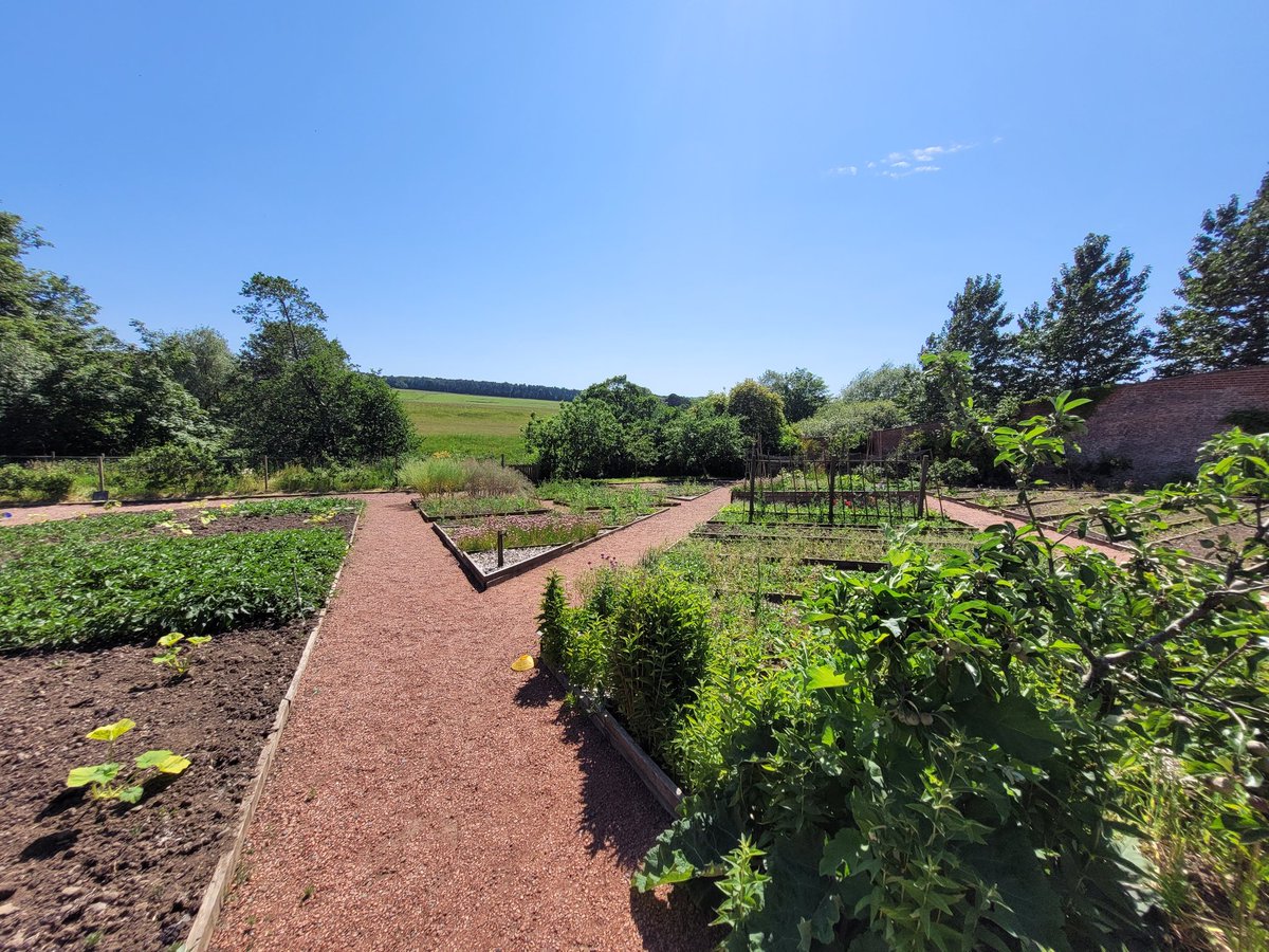 missalogan's tweet photo. Yesterday's classroom... day 3 of environmental sciences week @Dumfries_House where we learnt to soil sample, ID trees, ID and manage invasive species, make agricultural maps using GPS and ate a few ice creams. #STEAM #STEAMnotSTEM @girvanacademy https://t.co/BOwpVdn9vV