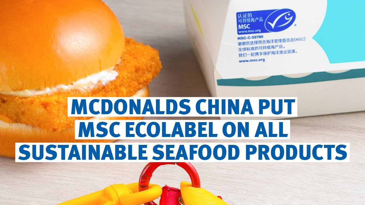 MSCecolabel's tweet photo. 📢🍔Exciting News #WorldOceanMonth @McDonalds China announced that 100% of Filet-O-Fish sandwiches, double fish burgers and kids fish filet burgers will feature the blue fish #MSCecolabel in 5,000+ restaurants across China! #SustainableSeafood
 
🙌 https://t.co/QCPwo5YZSd https://t.co/JLimSu9z3p