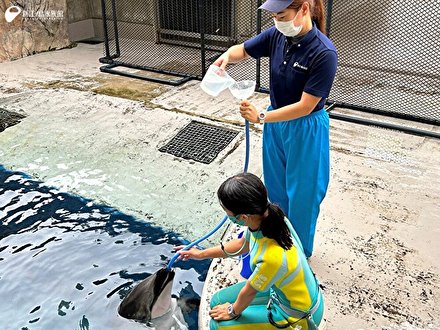 enosui_com's tweet photo. "獣医師でもなく、飼育員でもない、"

“えのすい”愛玩動物看護師の仕事 １ | えのすいトリーター日誌
https://t.co/jEwyn2tIli https://t.co/32889Pahe0