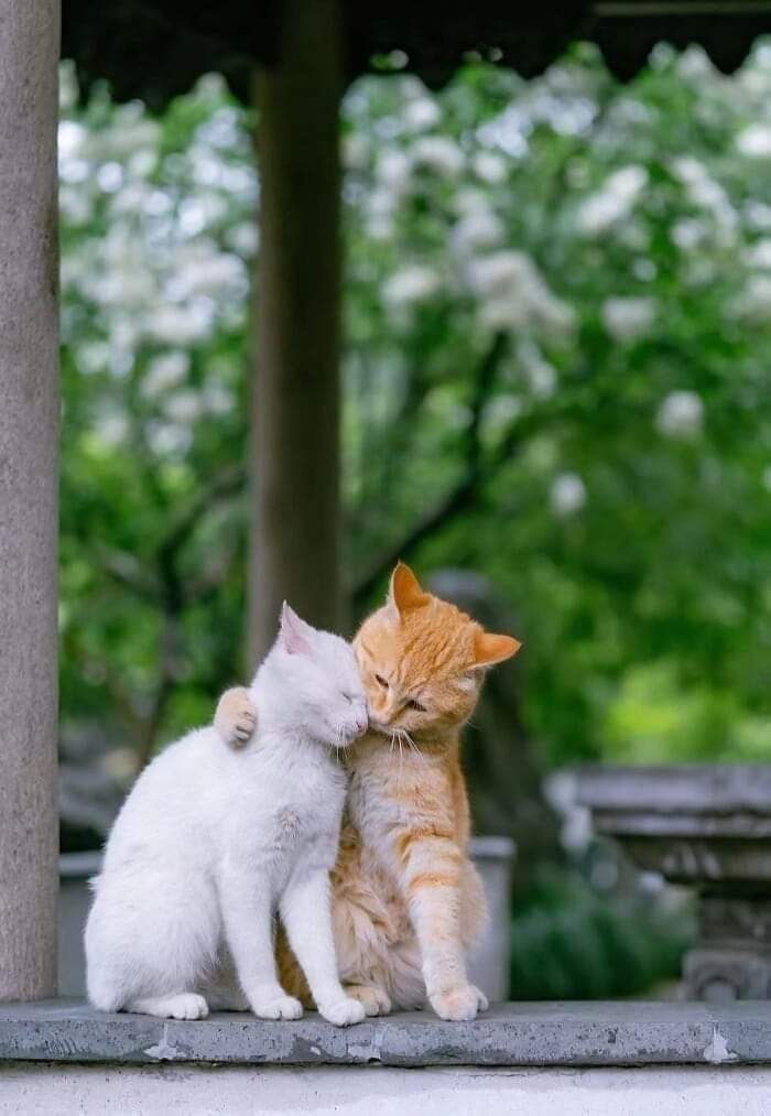 " مَنْ جَبَر جُبِر ، والإنسان يأخذُ ممّا كان يعطيه "