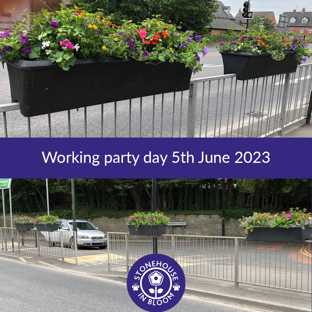 StonehouseBloom's tweet image. Working party day 5th June - Thirsty work installing all of the barrier planters!
#stonehouseinbloom #improvingcommunities #britaininbloomfinalist #heartofenglandinbloom #communitypullingtogether #bestsmalltowncategory @RHSBloom @HOEInBloom @The_RHS