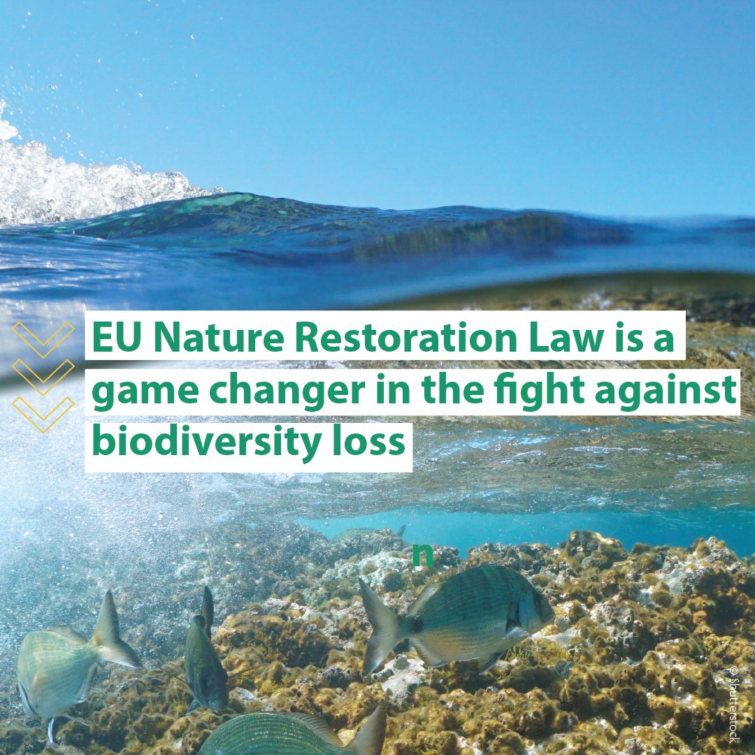 EU_CoR's tweet photo. 🌿 The CoR opinion on the EU Nature Restoration Law highlights steps to #BuildBackBiodiversity in line with the Global Biodiversity Framework and in a way that engages local governments.

➡️ Learn more: https://t.co/HVlLgvUmhA

@BiwerR

#RestoreNature
#EUGreenDeal