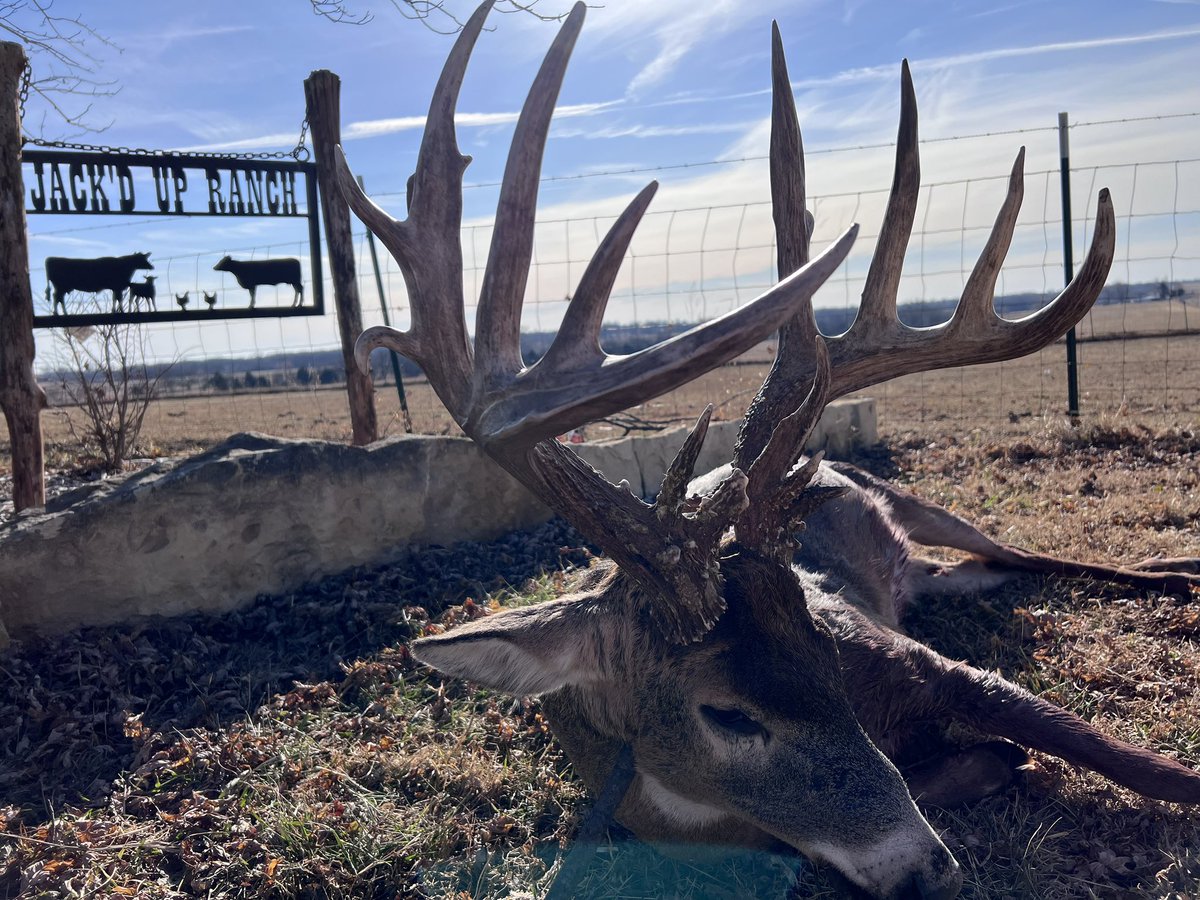 Buckmasters Nation tweet media