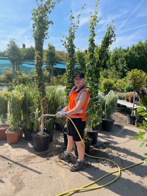 sempervirens13's tweet photo. Dan &amp; Danielle are doing a cracking job keeping the plants and themselves well hydrated today 💪🌞😎
The plants are looking amazing! #gardening #plants #Whitton #SempervirensPlantNursery #Twickenham #Hounslow #Teddington #LoveYourGarden https://t.co/1cxDbWfKSP
