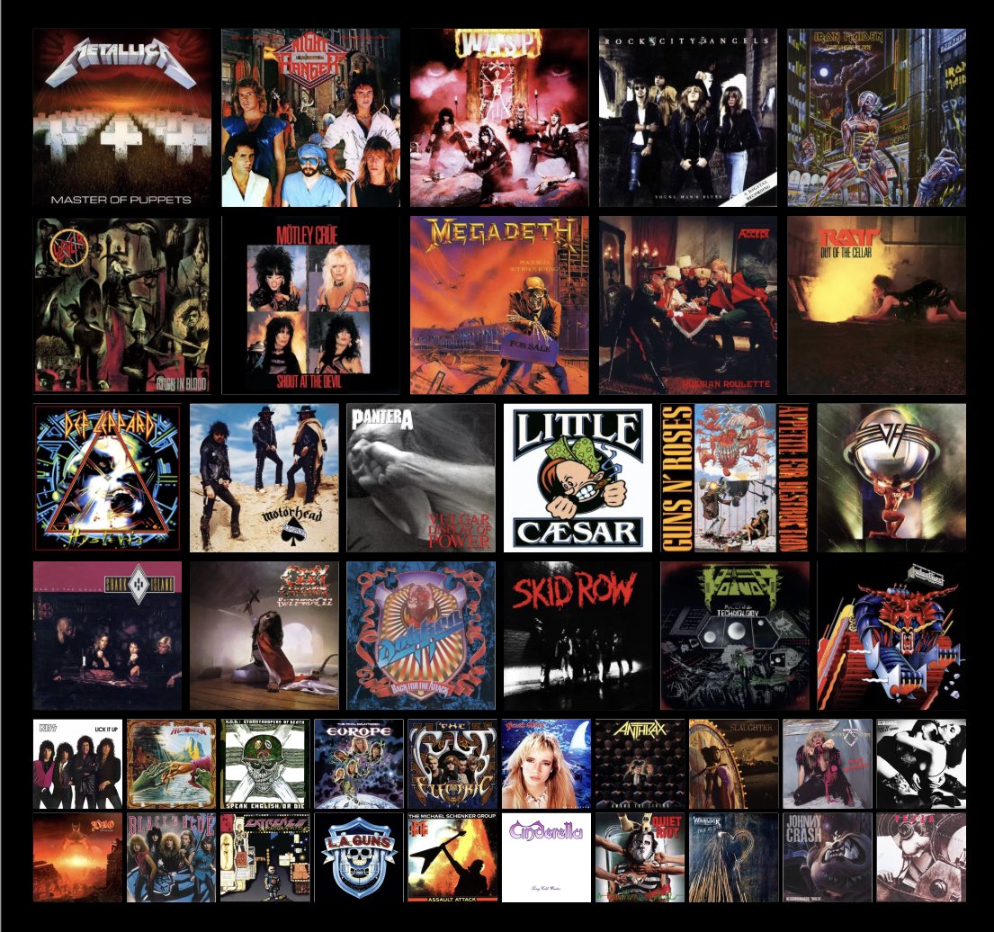 カラス tweet media