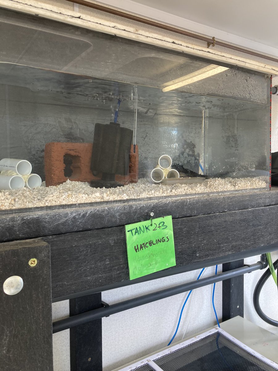 Emily Erith tweet media