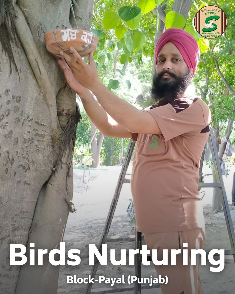 GreenSwelfares's tweet photo. In scorching summers, Shah Satnam Ji Green 'S' Welfare Force Wing volunteers are placing nests, and keeping water and feed for birds. 🐦💧 Their efforts are a gentle reminder of our shared responsibility towards all beings. Be part of this kind initiative and help our feathered friends! #NurturingBirds #SummerKindness #NatureLove