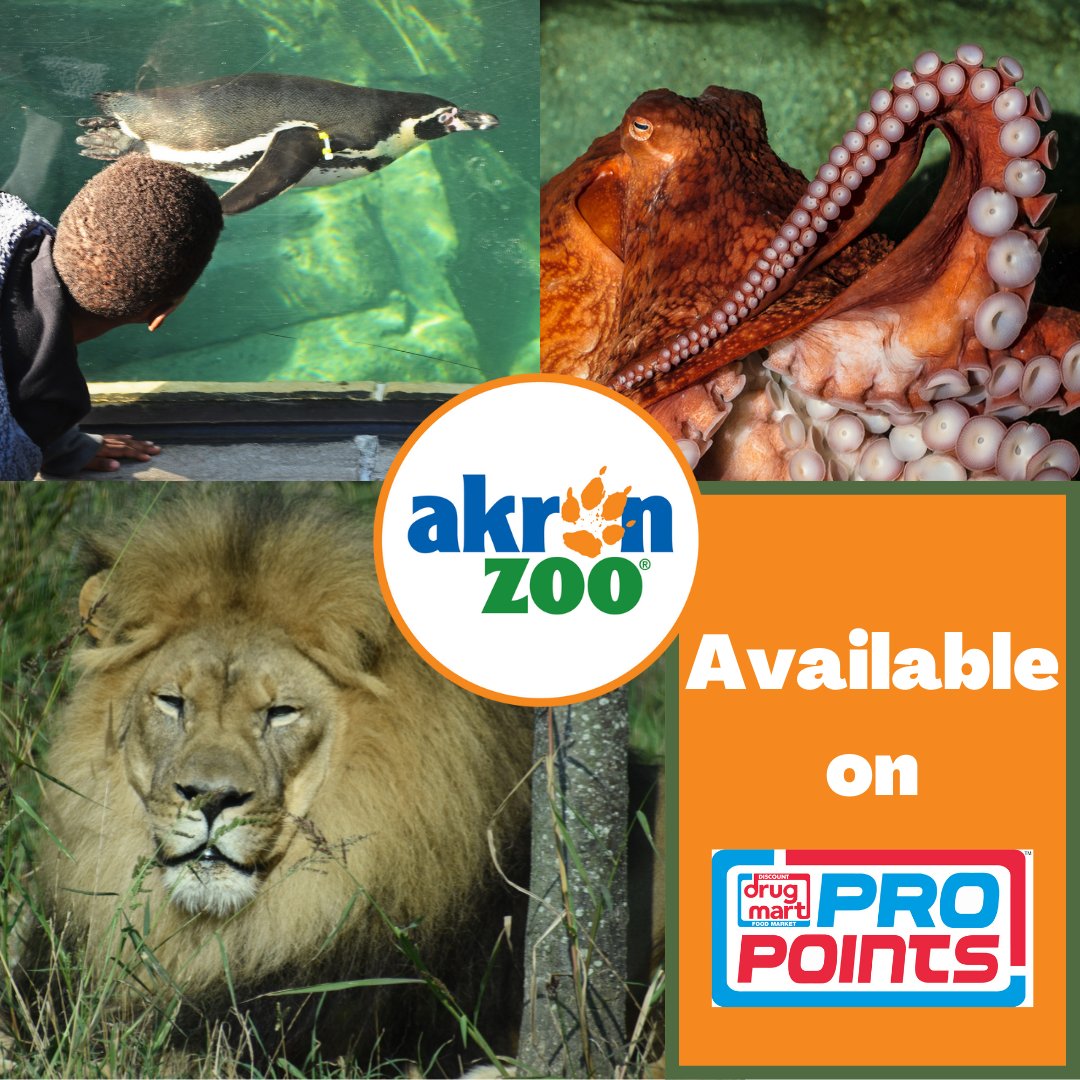 Discount Drug Mart on Twitter "Need something fun to do with the kids