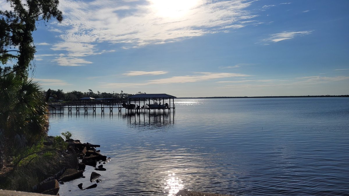NerdInFlorida's tweet photo. Good morning, from Florida! https://t.co/4IaXwFxuST