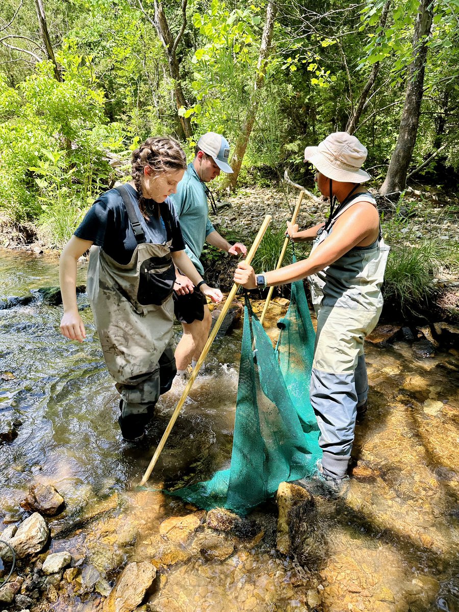 tonynft333ETH's tweet photo. I’m investigating the effects of stream permanence and seasonal drought on crayfish colonization-extinction dynamics. 

We wrapped up field season this week. 3 down, 1 to go! https://t.co/a79kvvPerO
