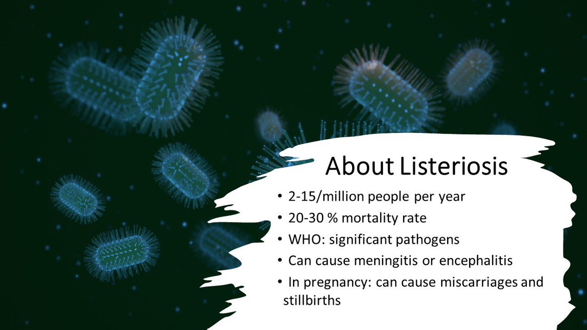 goettingen2023's tweet photo. Listeriosis is an infectious disease, usually caused by contaminated food which particularly affects immunocompromised people. The mortality is up to 20-30% worldwide. Due to increasing antibiotic-resistant bacteria, it’s becoming important to find alternative strategies! https://t.co/FFUMjSMtty