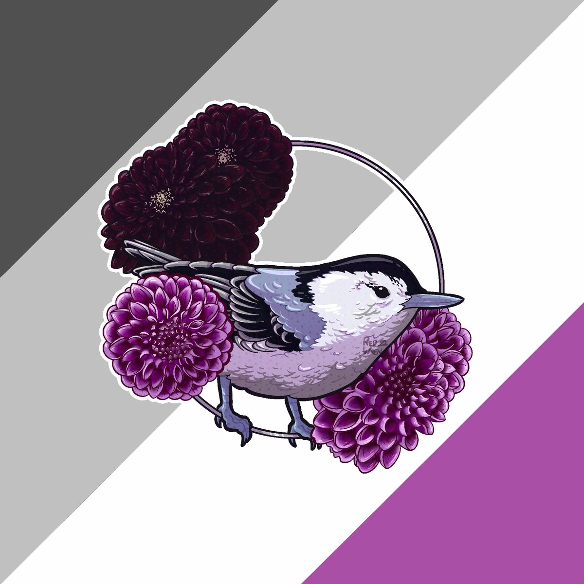 Happy Pride Month!! 🏳️‍🌈

Todays piece represents the Asexual community with their flag behind a White-breasted Nuthatch and Dahlias.

We can't wait to share them all with you!

#pride #art #pridebirds #asexualpride #asexual #ace #whitebreastednuthatch #nuthatch #dahlias #flowers