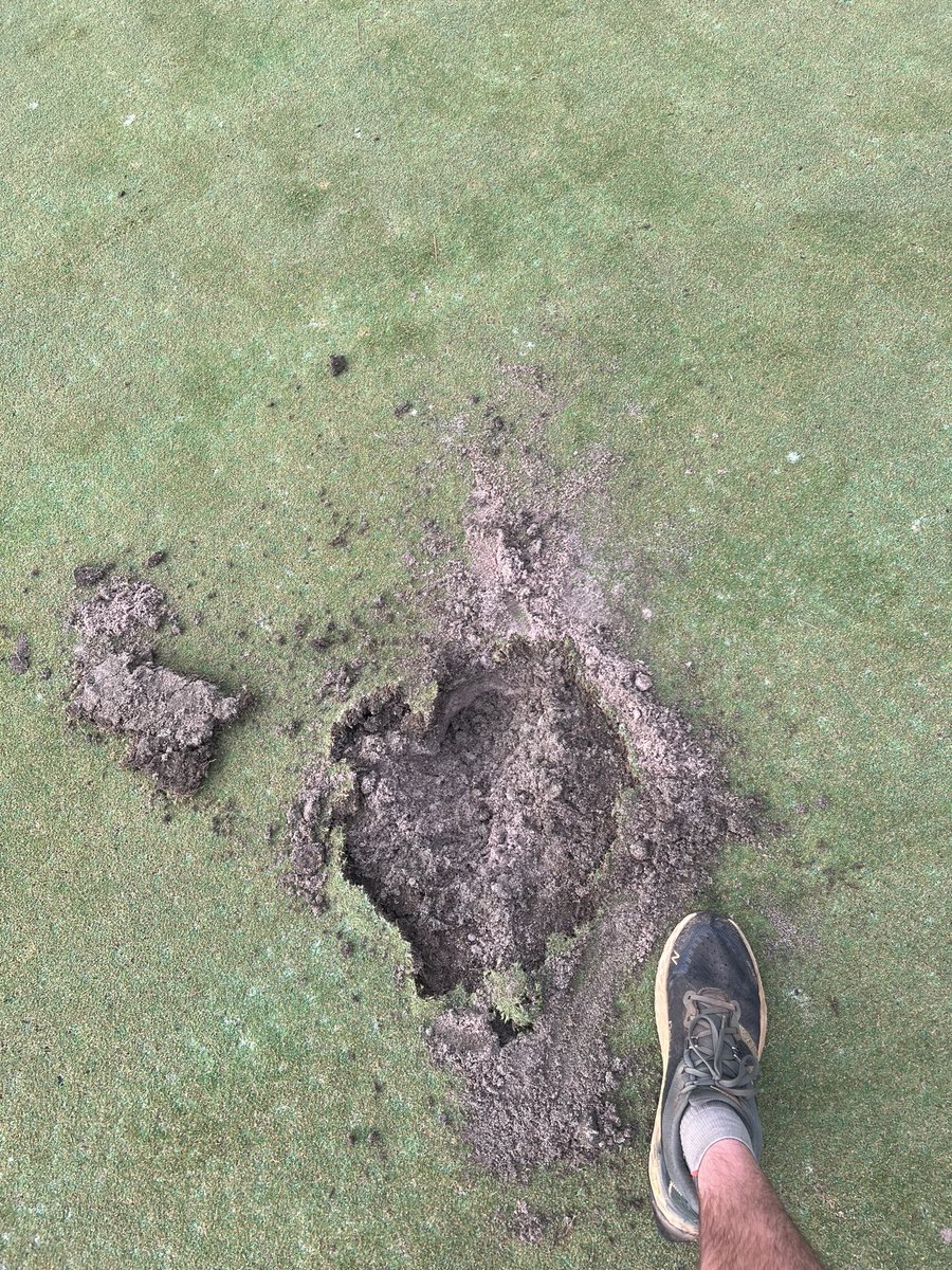 IHCC_TurfCare tweet media