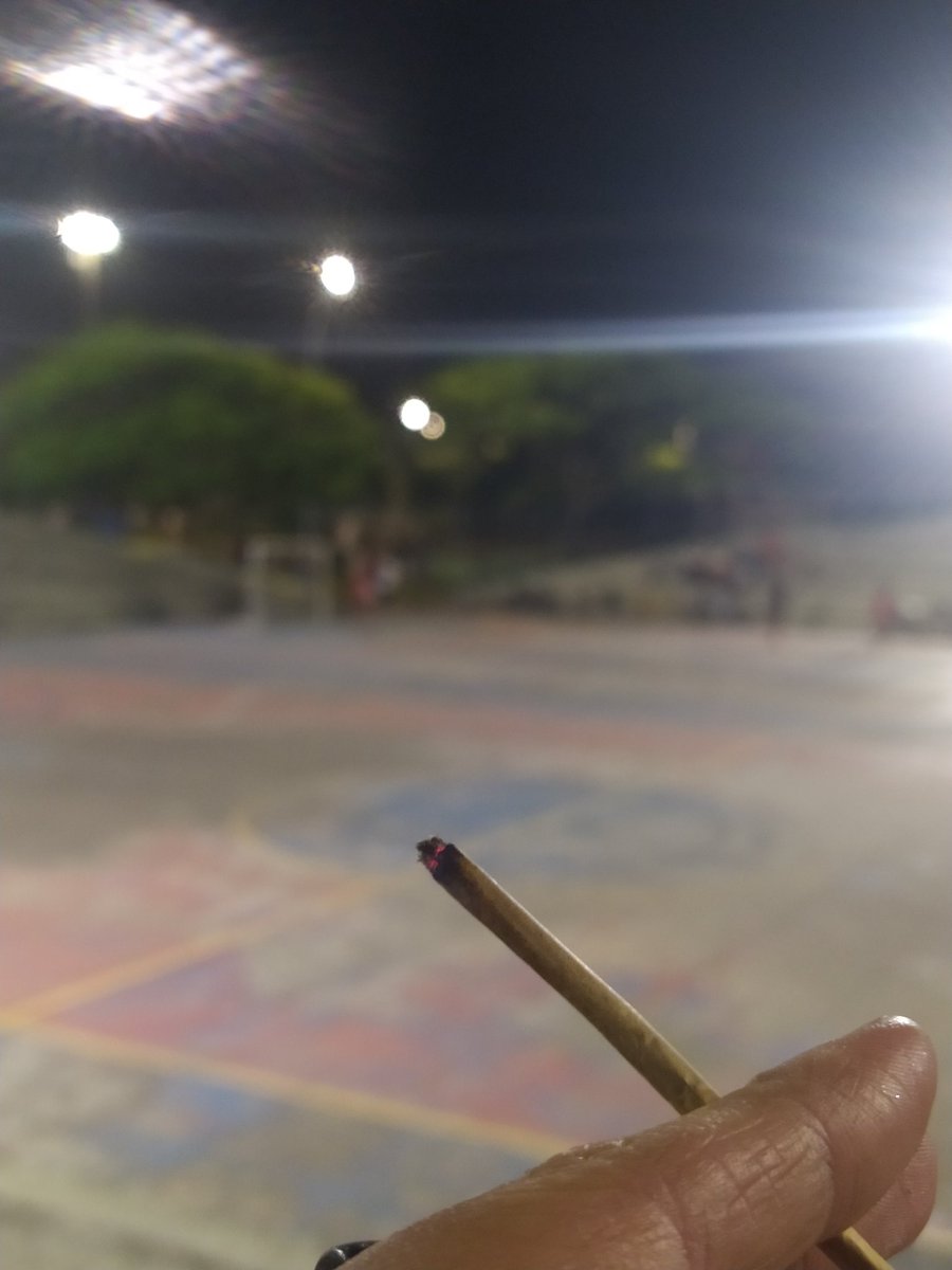 amores (maconha) vícios (maconha) e obsessões (maconha)