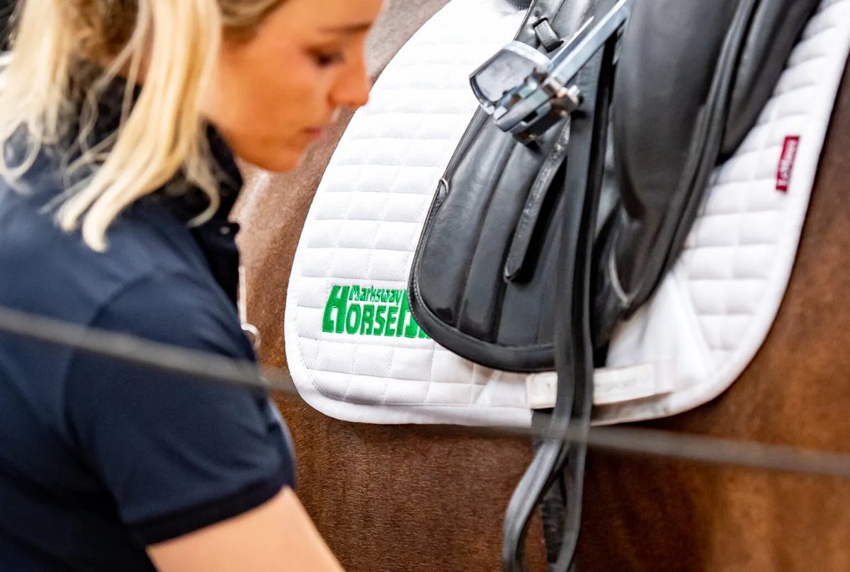 𝗘𝗻𝗴𝗹𝗮𝗻𝗱 𝗧𝗲𝗮𝗺 𝗦𝗽𝗼𝗻𝘀𝗼𝗿𝘀𝗵𝗶𝗽 𝗔𝗻𝗻𝗼𝘂𝗻𝗰𝗲𝗺𝗲𝗻𝘁
HorseHage, the leading supplier of dust-free forage for horses, is proud to announce its sponsorship of the England Home International endurance team as the Official Forage Provider.
bit.ly/EnglandHIHorse…