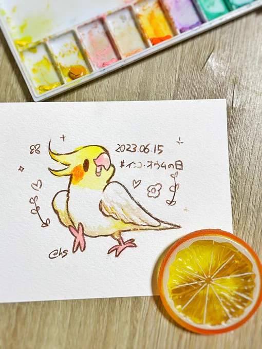 うちの子の日じゃん!!!!!  ▷   本日は #オウムとインコの日!!!  なので、ご機嫌なうちの子ぴこ太くんのお歌を聴きながら、うちの子を描いてみました  #すみれのアとり絵 #透明水彩