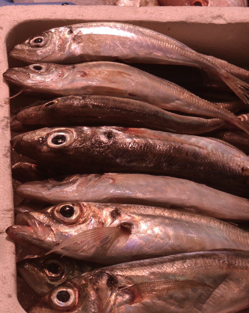 #somosmostenses #PescaderíaElBierzo