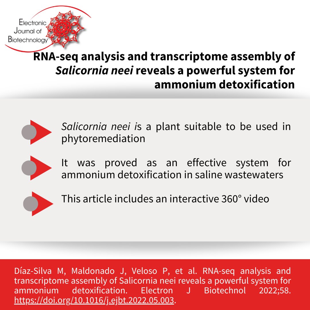 EJBiotechnology's tweet image. ⭕️Check this article research here 
🔗doi.org/10.1016/j.ejbt… and the interactive 360º video here 📽️ejbiotechnology.info/public/360view…

#360video #Ammoniumdetoxification #Ammoniumresponse #Aquaculturess