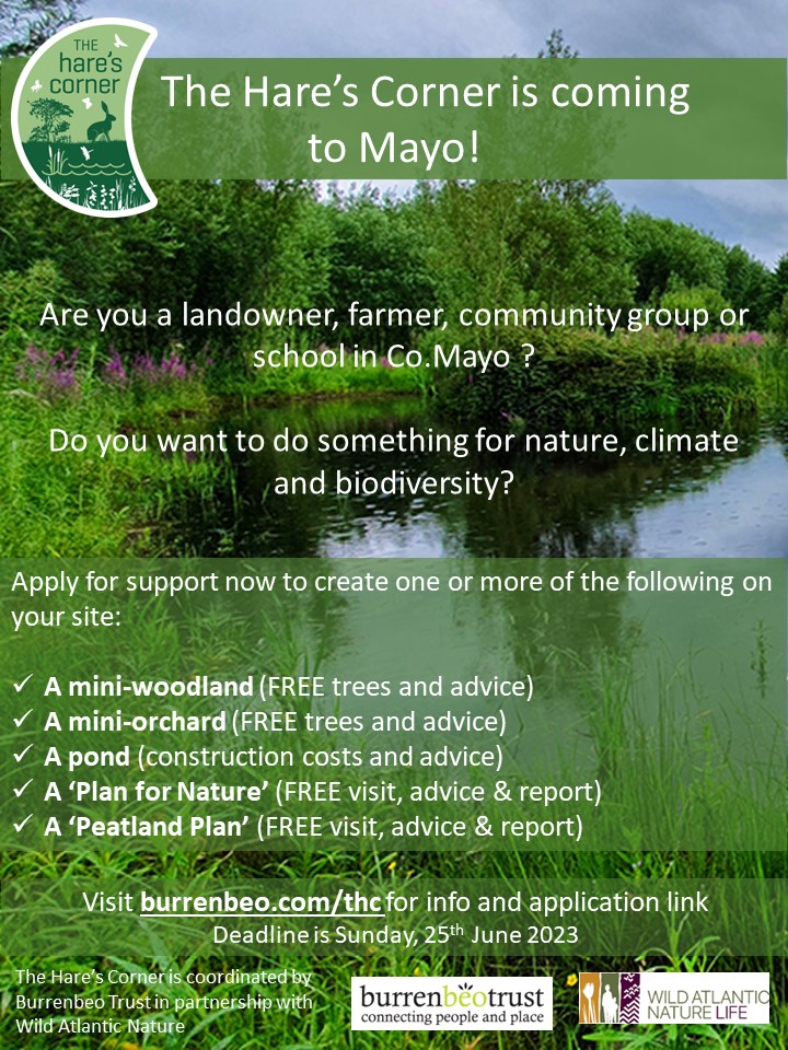 BurrenbeoTrust's tweet image. Calling all #Mayo landowners who want to act for #nature! A fantastic opportunity to avail of help in increasing biodiversity on your land - create a mini-woodland, mini-orchard, pond, plan for nature or peatland plan. Apply &amp;amp; info at burrenbeo.com/thc deadline 25 June.