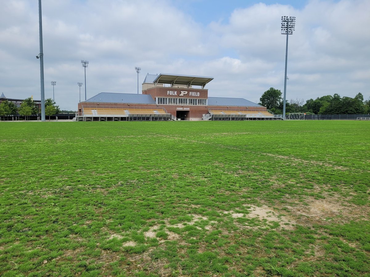 Nick Lievense tweet media