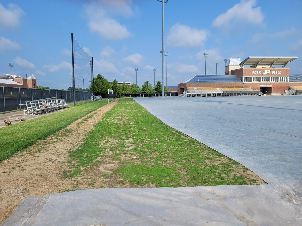 Nick Lievense tweet media