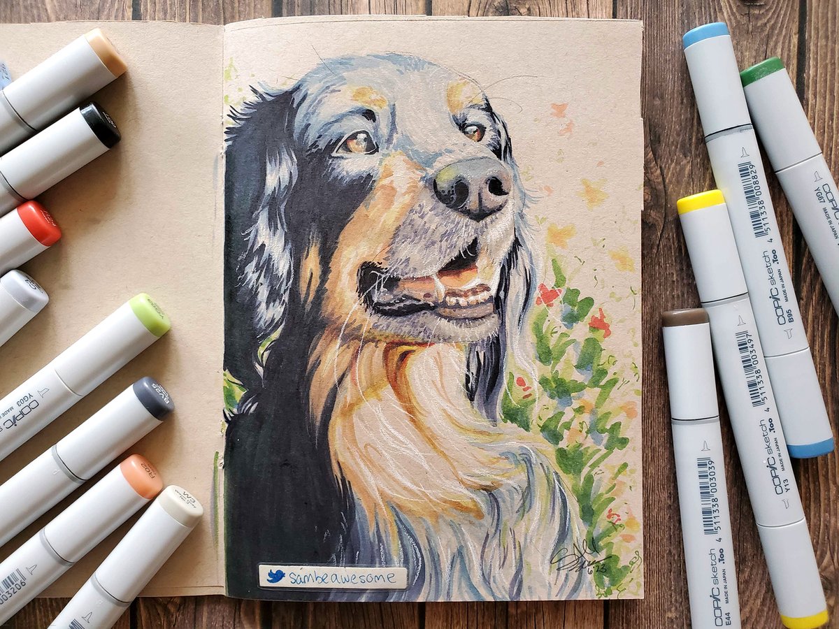This pupper hopes you have a good day. 🐶 I'm actually really happy with how this came out, coloring it was very fun! :)

🌈ko-fi.com/sambeawesome

#dogsoftwitter #animalart #markerart