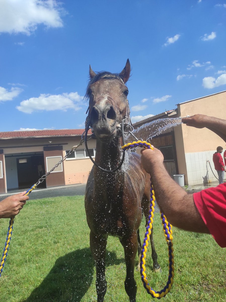 Çok güzelsin ❤️

#Iguazufalls 🥇🥳