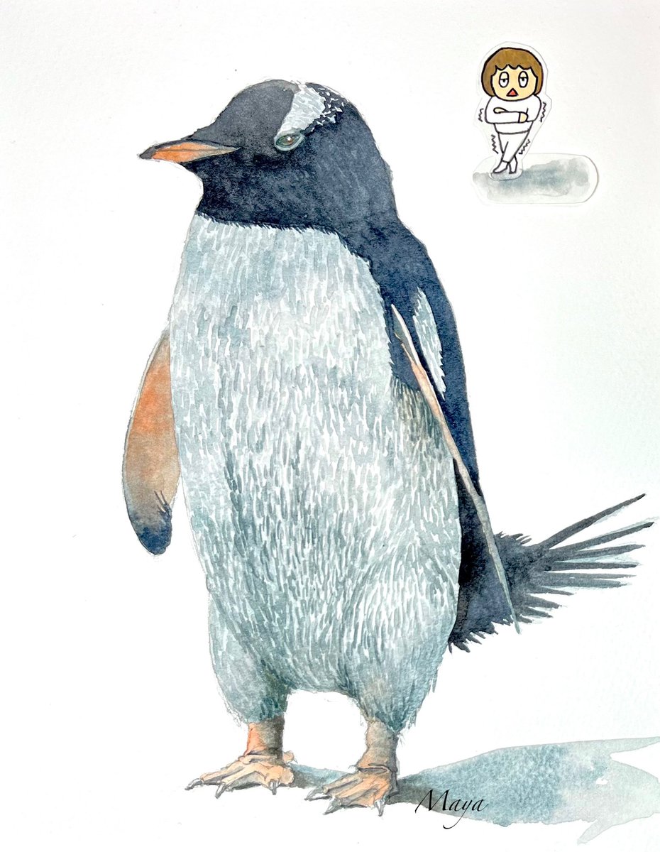 『ペンギン』

#透明水彩 #アナログ絵 
紙：ウォーターフォード中目