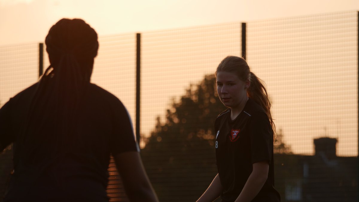 AFC Portchester Ladies tweet media