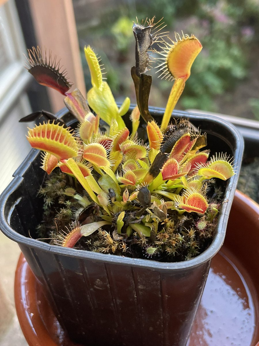 Jonesy Evens tweet media