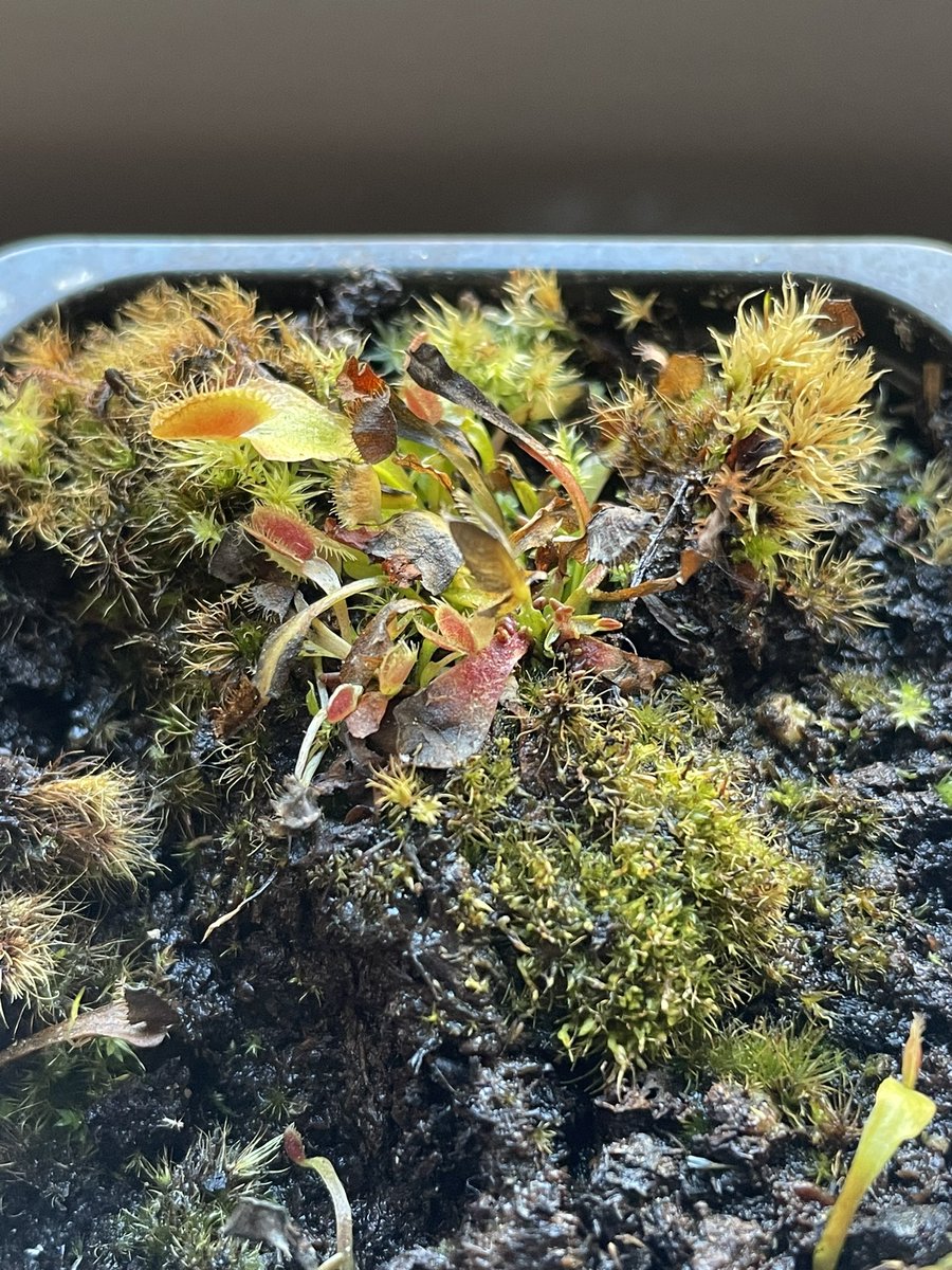 Jonesy Evens tweet media