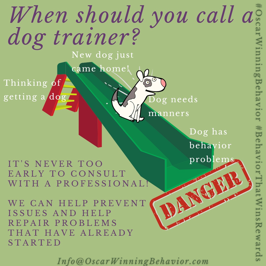 It's never to early to start working with a trainer when you're ready to add a dog to your life! From helping you find the right dog to bring home, to introducing them to your family - we can help! 
#DogBehavior #CSAT #CDBC #dogs #iaabcPets #FearFreePets #OscarWinningBehavior