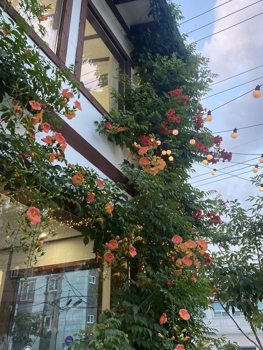 드디어 갔다왔습니다