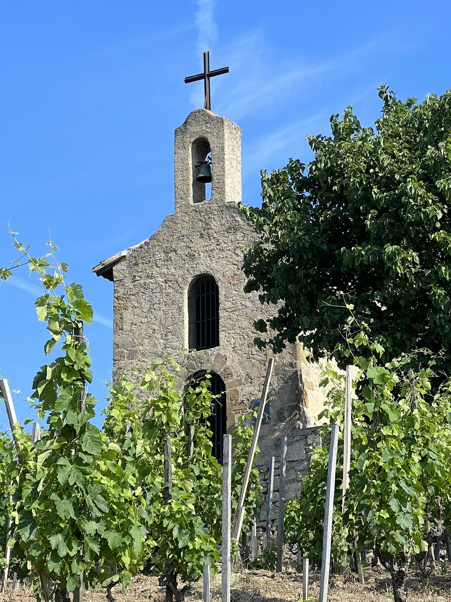 Leonard Thompson tweet media