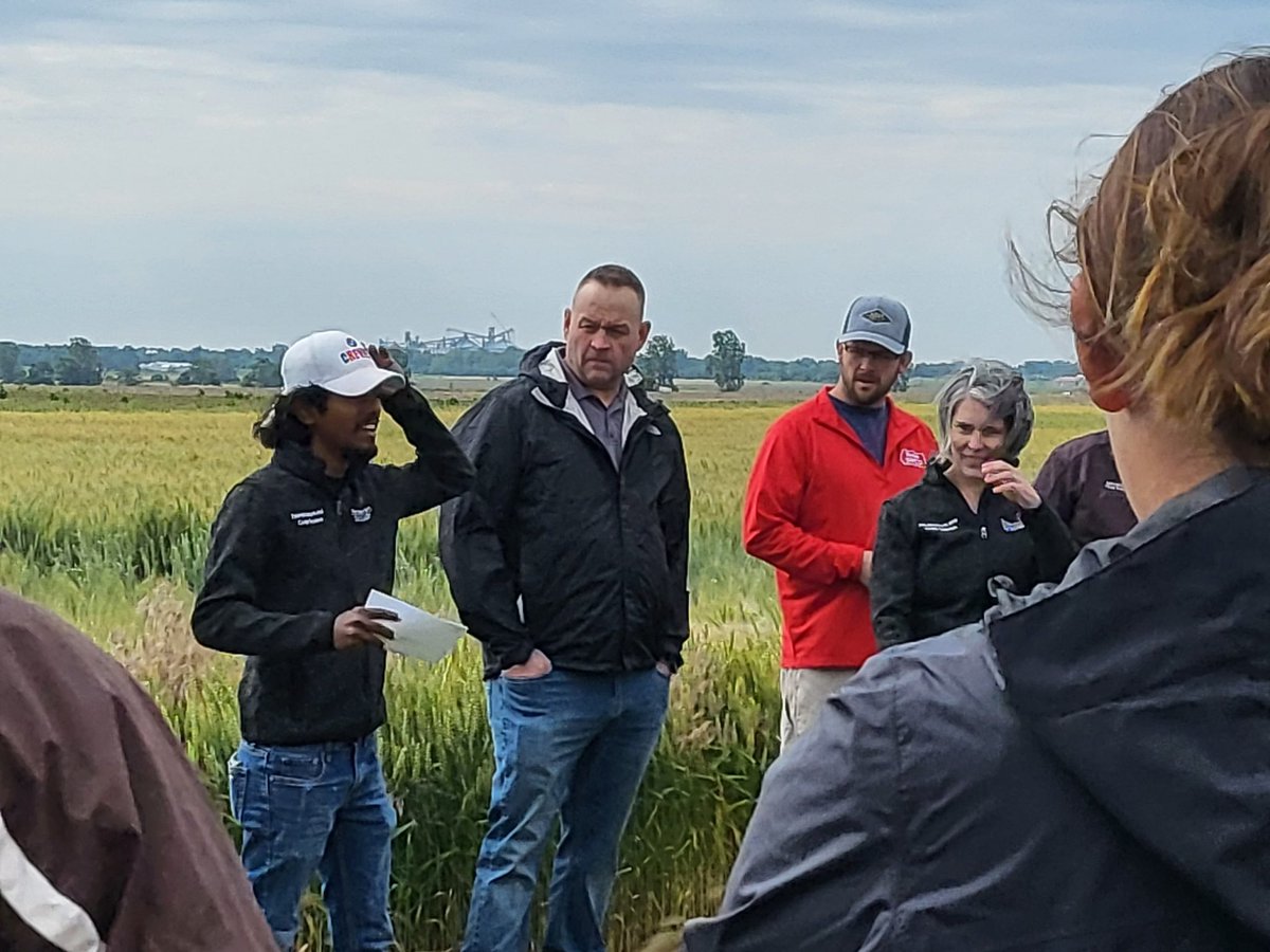Had an awesome #wheat field day at the Western Ag research station.  Thanks for putting it together <a href="/OhioCornWheat/">Ohio Corn & Wheat</a> and thanks for the opportunity to talk to farmers about my research <a href="/StepUpSoy/">Laura Lindsey</a> <a href="/OSU_HortCropSci/">Ohio State Horticulture and Crop Science</a> <a href="/OSU_Agronomy/">Ohio State Agronomy</a>