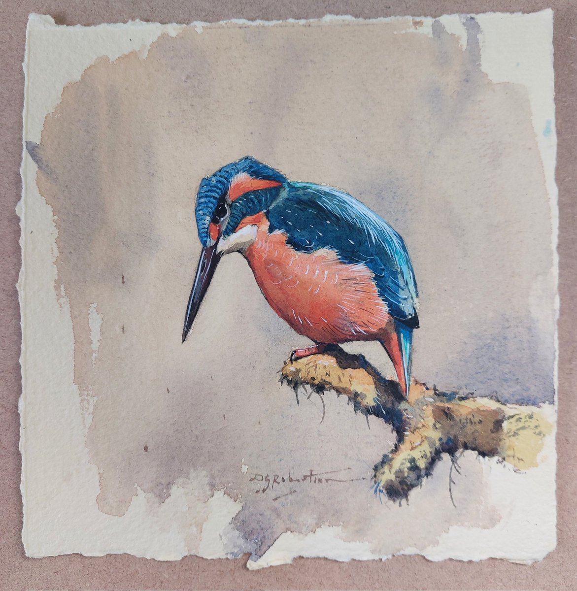Nice day for a plunge into a cold pool..'Kingfisher' painted from life in my trip up Speyside last week. Watercolour on Two Rivers Paper 

#kingfisher #birdart # astilllifestyle #moodcollection #birdwatchers #markmakingdaily #artonpaper #inspiredbynature #artoftheday #fisher