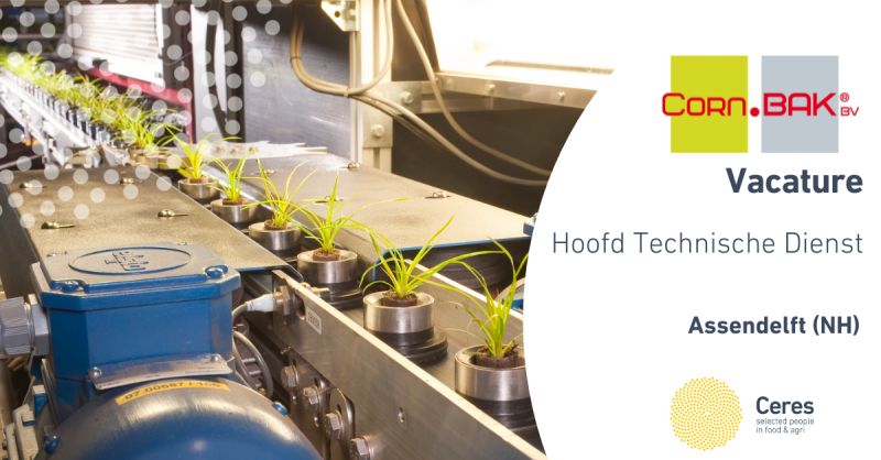 #vacature <a href="/CornBak/">Corn. Bak</a>: Hoofd Technische Dienst bij Corn. Bak BV in Assendelft (NH) #kwekerij #elektrotechniek #peoplemanager. Zie agriholland.nl/vacaturebank/4…