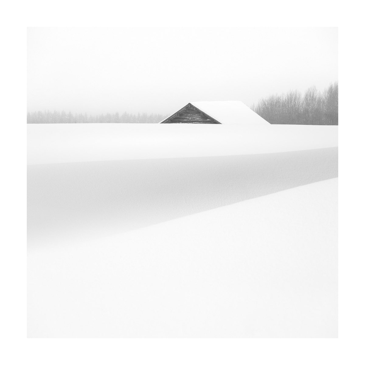 Arild Heitmann tweet media