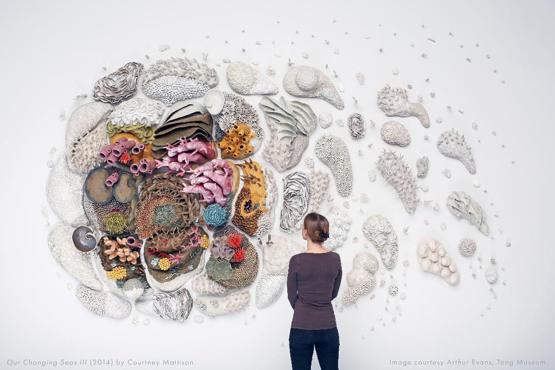 Courtney Mattison’s intricate, hand-crafted ceramic sculptures enable viewers – many of whom have never seen a coral reef – to appreciate the delicate, fragile beauty of reefs.