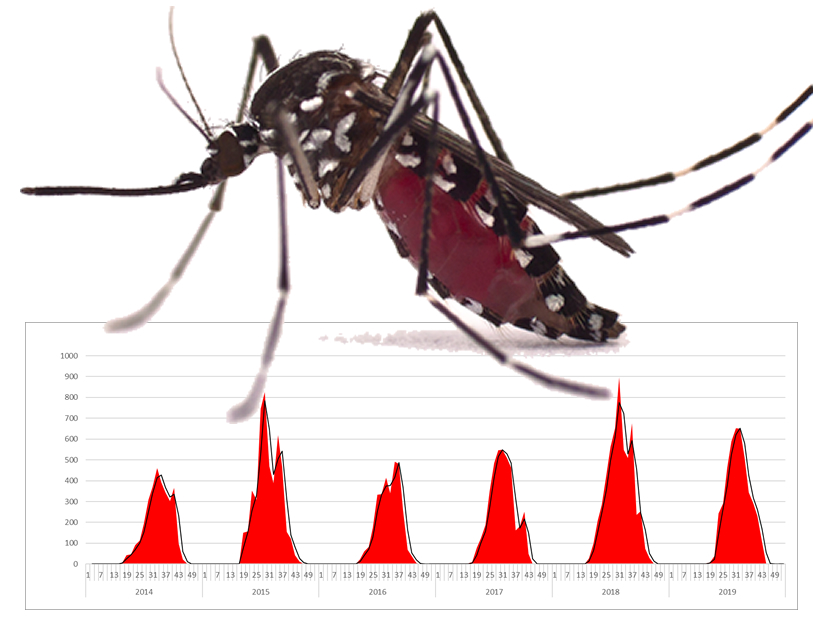 2013_caa's tweet photo. Collaborazione della Regione #EmiliaRomagna con università di Trento #unitn per la realizzazione di modelli predittivi sulla Zanzara Tigre.👇👇👇
#Aedes #machinelearning #ovitrappole
https://t.co/raKHVk29Gj https://t.co/wqnsW5Y0m1