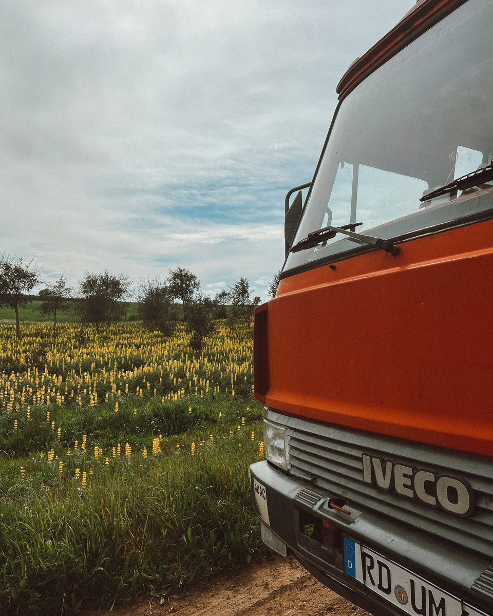 movingtheway's tweet image. On the way to Sintra.
Taking the back roads and enjoying the spring time.
.
#vanlifeadventures #vanlifedestination #vanlifepics #vanlifelovers #vanlifeescape #vanlifeblogger #vanlifegermany #vancation #movingtheway #springtime #springflowers #travelingram #sustainablelifestyle