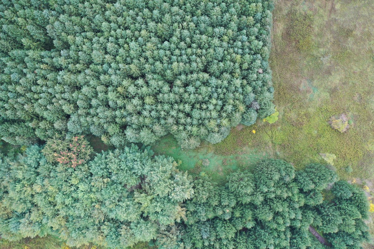 Tops of the forest...

#dronephotography @DroneHour @StormHour @ThePhotoHour #NaturePhotography #ontario @YoushowmeP