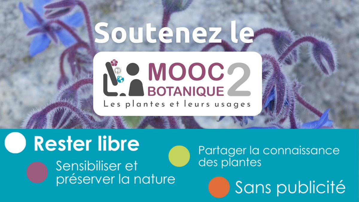 MOOC TelaFormation tweet media