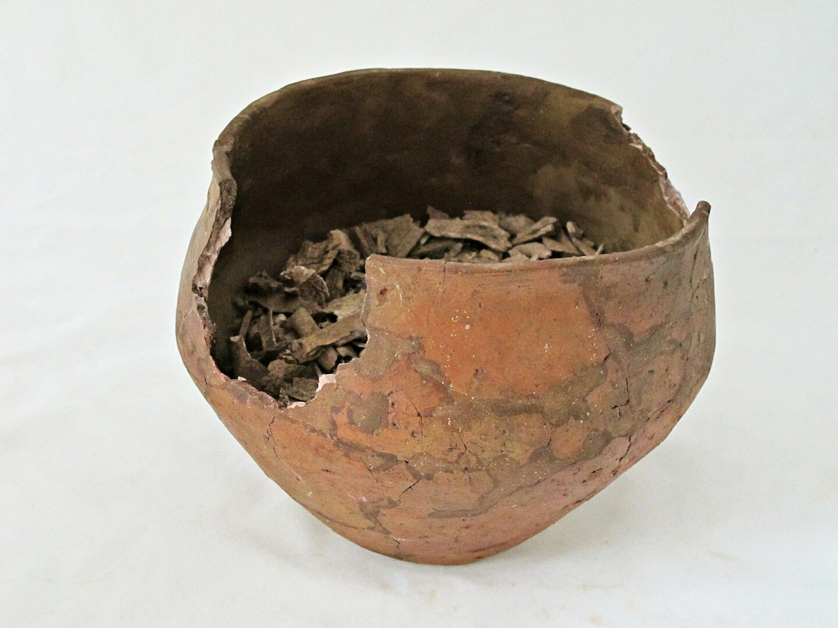 PODCAST | Prehistorische graven, grafrituelen en grafgiften. De derde aflevering van de Verhaal van Gelderland Podcast is nu te beluisteren. René Arendsen gaat in de aflevering op bezoek bij Museum de Scheper in Eibergen. Beluister de podcast via: verhaalvangelderland.nl/podcast/